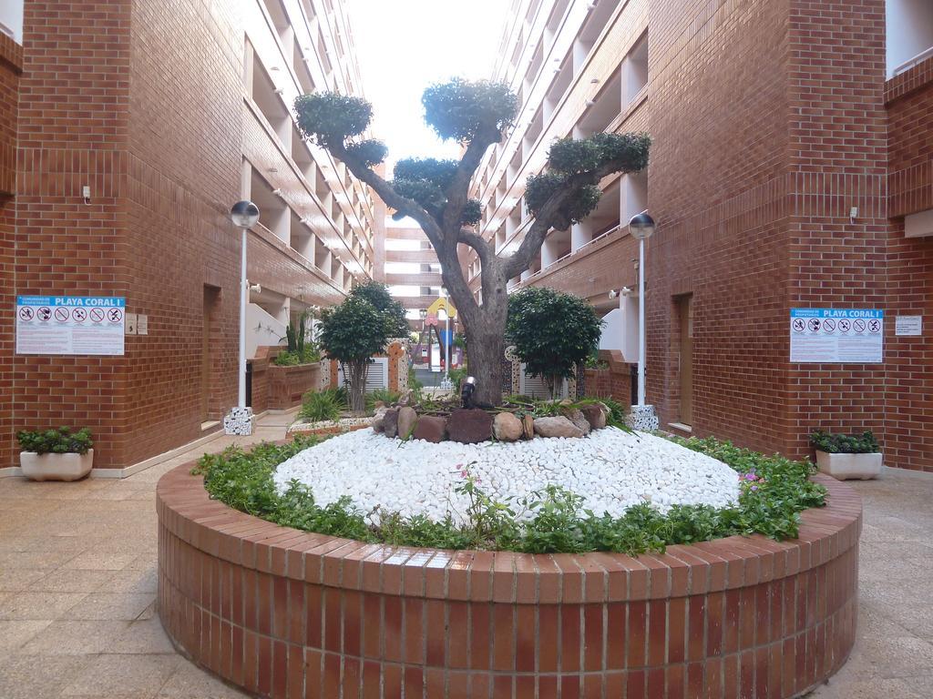 Appartement Playa Coral En Marina D'Or à Oropesa del Mar Extérieur photo